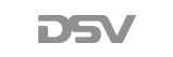 DSV logo