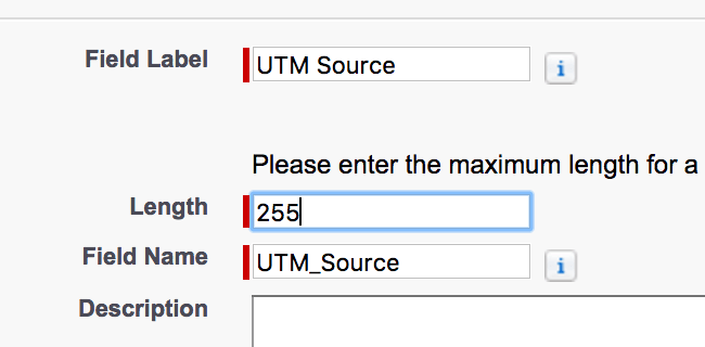 Set UTM source fields parameters in Salesforce