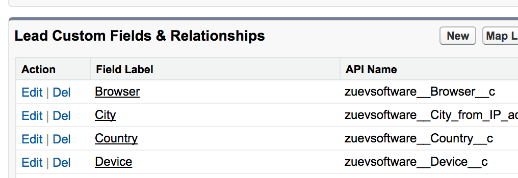 Custom Lead fields in Salesforce