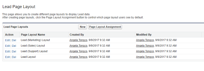 Lead Page Layouts Salesforce