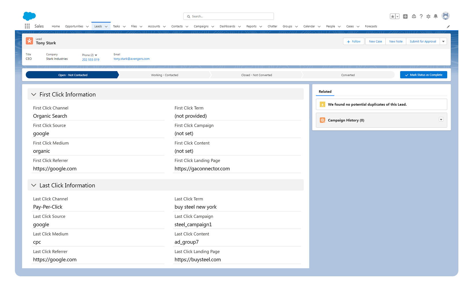 Salesforce lead with UTM parameters